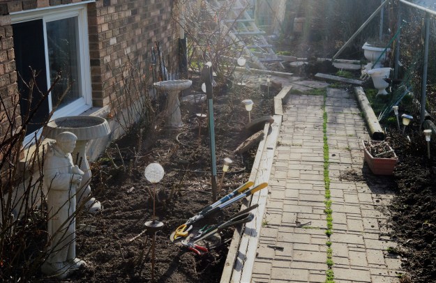 side yard garden (2)